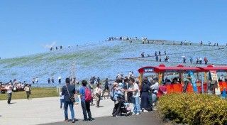 国営ひたち海浜公園