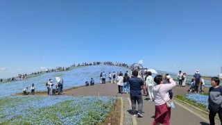 国営ひたち海浜公園