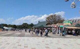 国営ひたち海浜公園