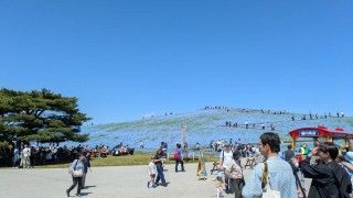 国営ひたち海浜公園