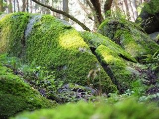 名草の巨石群の写真