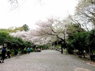 葛原岡公園の写真