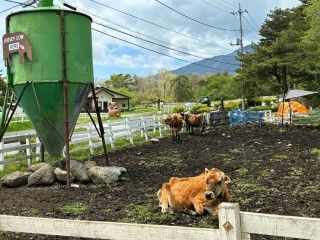 清泉寮ファームショップ