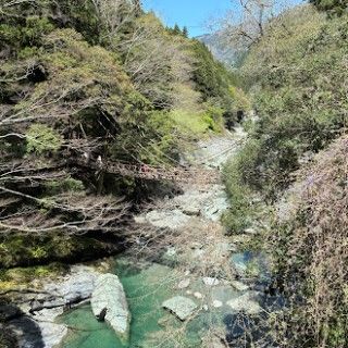 祖谷のかずら橋
