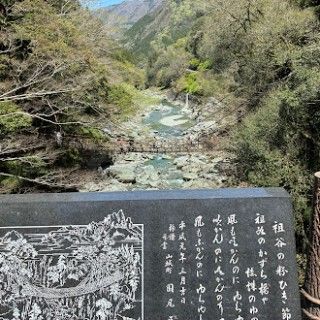 祖谷のかずら橋