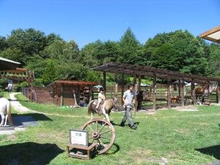 清里ポニー牧場
