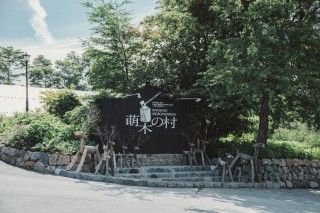 萌木の村