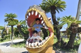 伊豆ぐらんぱる公園の写真