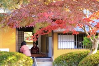 茶室麟閣の写真
