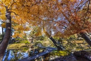 御薬園の写真
