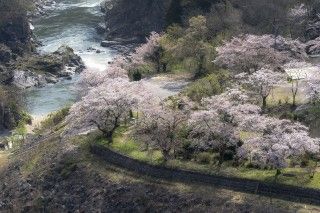 稚児舞台公園の写真