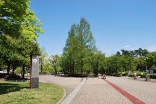 あづま総合運動公園の写真