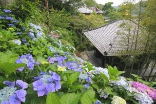 長谷寺（長谷観音）の写真