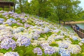 国営讃岐まんのう公園