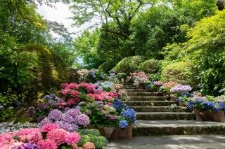強羅公園