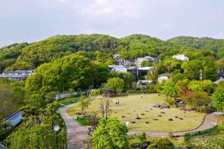 五月山公園の写真
