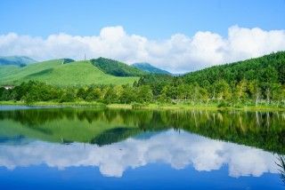 白樺湖の写真