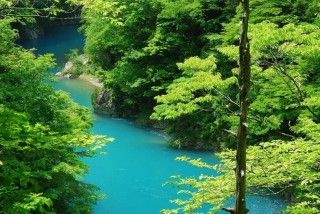 抱返り渓谷の写真