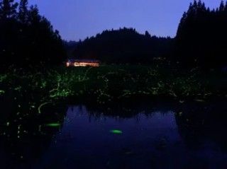 森吉 森のテラスの写真