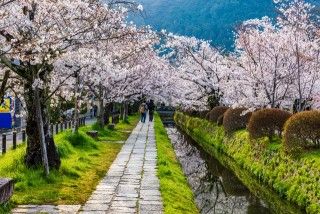 哲学の道の写真