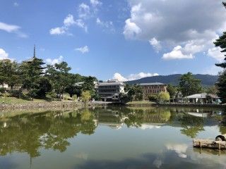 猿沢池の写真