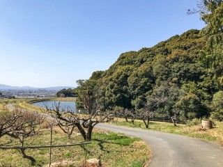 山の辺の道の写真