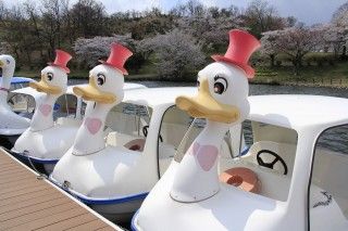 志高湖の写真