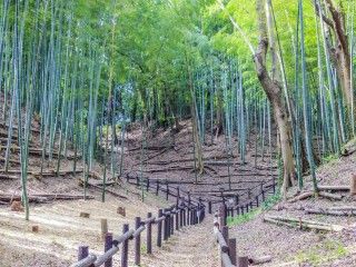 小机城址(小机城址市民の森)の写真