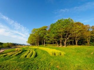 国営飛鳥歴史公園の写真