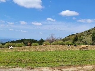 黒沢牧場(黒沢ハイランド)の写真