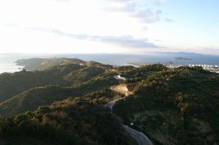有田みかん海道の写真