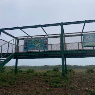 「ペンネーム K.M」さんからの投稿写真@池間湿原 展望台