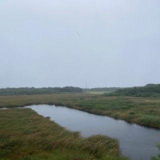 池間湿原 展望台の写真