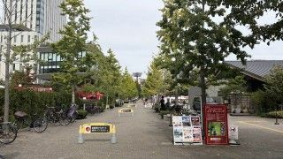 としまみどりの防災公園(イケ・サンパーク)