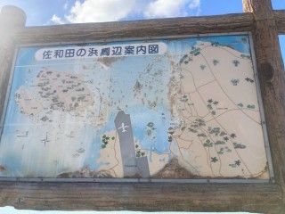 佐和田の浜