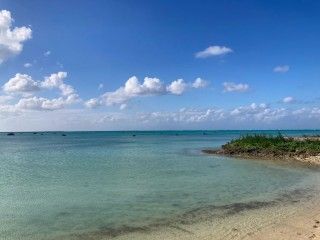 佐和田の浜
