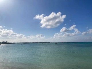 佐和田の浜
