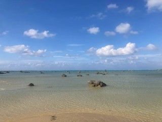 佐和田の浜