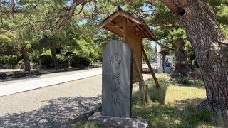 「P.N.さく」さんからの投稿写真＠鶴岡公園（鶴ヶ岡城）
