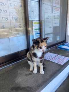 「P.N.K.M」さんからの投稿写真＠久高島