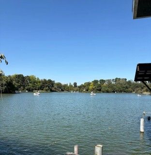 洗足池公園の写真