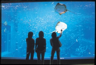 箱根園水族館の写真
