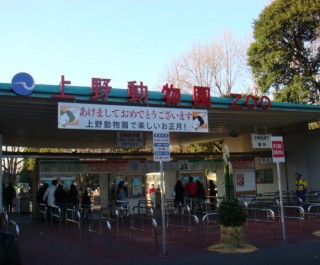 東京都恩賜上野動物園の写真
