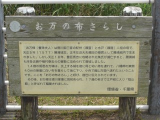八幡岬公園