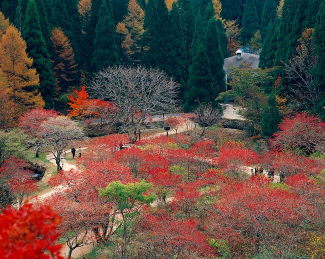 岡山県立森林公園の地図アクセス クチコミ観光ガイド 旅の思い出