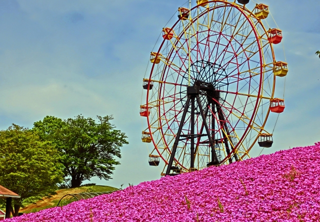 一面に広がる花のパッチワーク 芝桜が楽しめる絶景スポット 花見特集21
