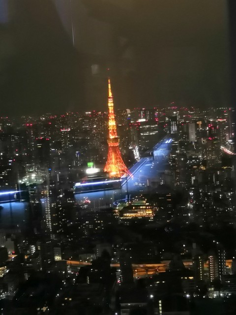 東京タワーの地図アクセス クチコミ観光ガイド 旅の思い出