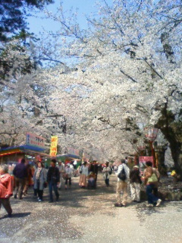 弘法松公園
