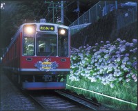 箱根あじさい電車 2022年も「夜間ライトアップ」を実施