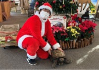 熱帯の生きもの＆植物と楽しむ「おいでよ！ねったいかんクリスマス」開催